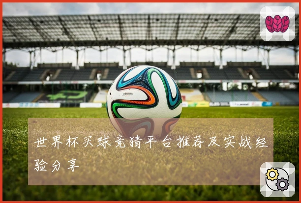 世界杯买球竞猜平台推荐及实战经验分享