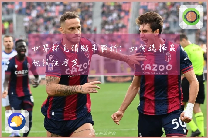 世界杯竞猜赔率解析：如何选择最优投注方案