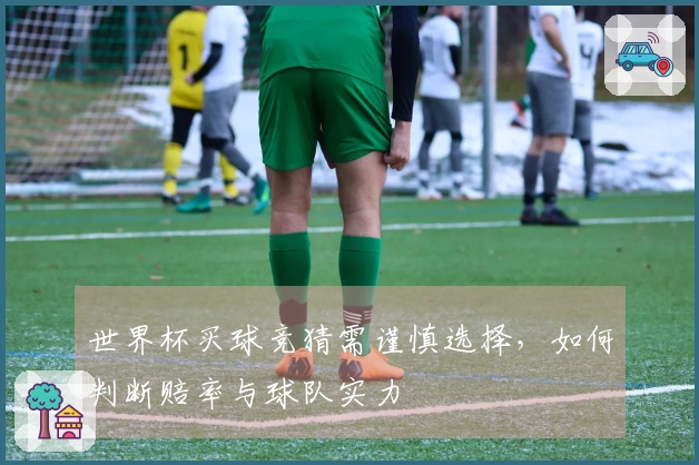 世界杯买球竞猜需谨慎选择，如何判断赔率与球队实力