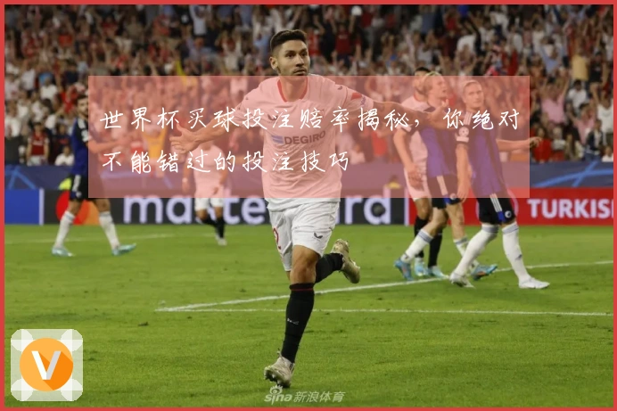世界杯买球投注赔率揭秘,你绝对不能错过的投注技巧