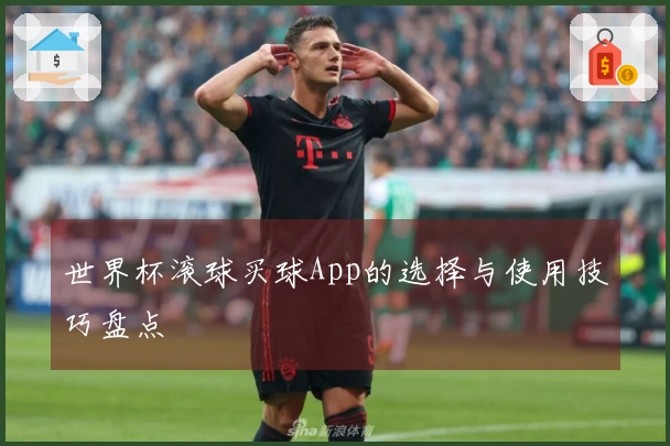 世界杯滚球买球App的选择与使用技巧盘点