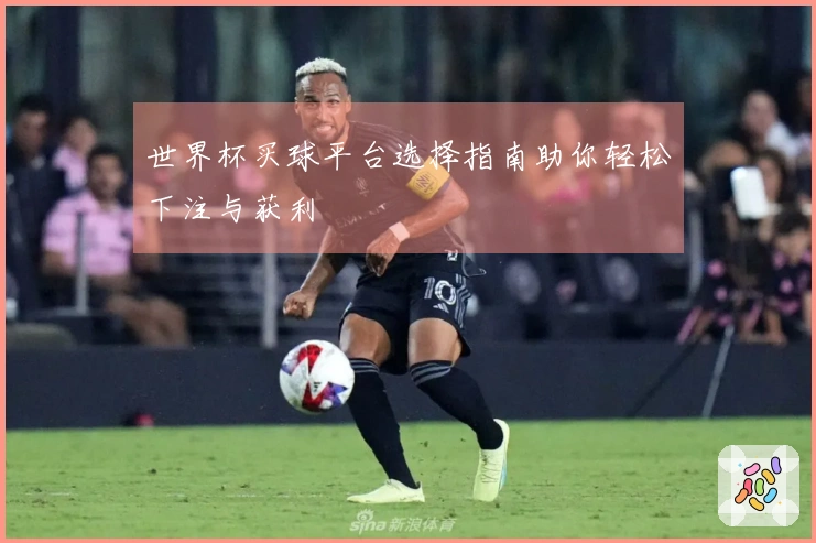 世界杯买球平台选择指南助你轻松下注与获利