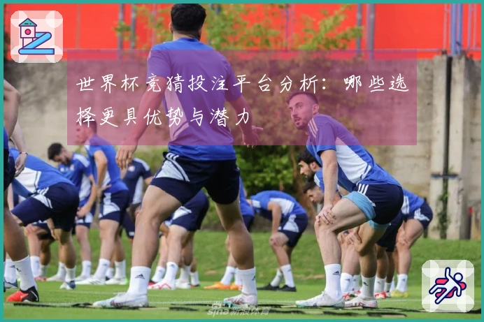 世界杯竞猜投注平台分析:哪些选择更具优势与潜力