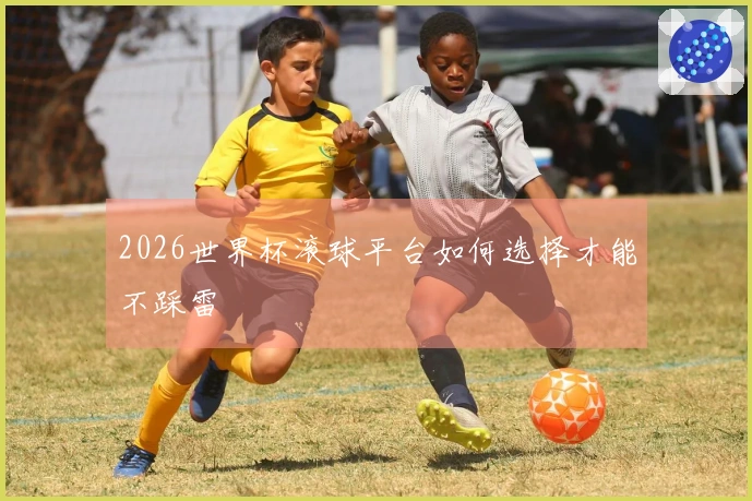 2026世界杯滚球平台如何选择才能不踩雷