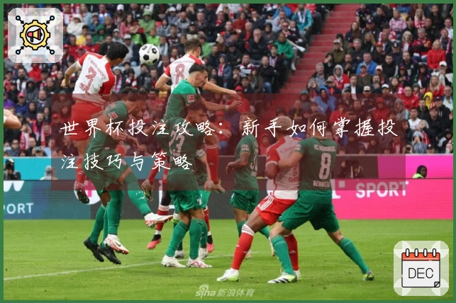 世界杯投注攻略：新手如何掌握投注技巧与策略