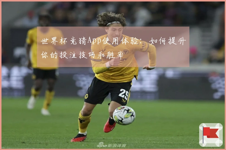 世界杯竞猜App使用体验：如何提升你的投注技巧和胜率