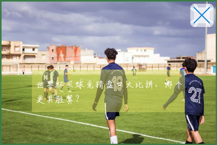 世界杯买球竞猜盘口大比拼，哪个更具胜算？