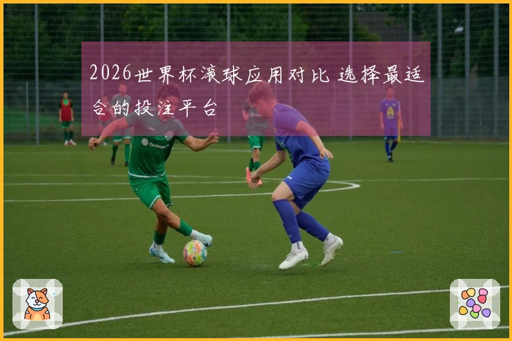 2026世界杯滚球应用对比 选择最适合的投注平台