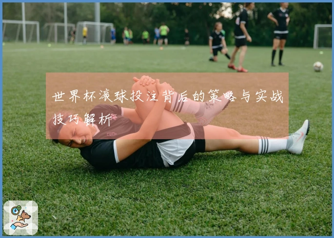 世界杯滚球投注背后的策略与实战技巧解析
