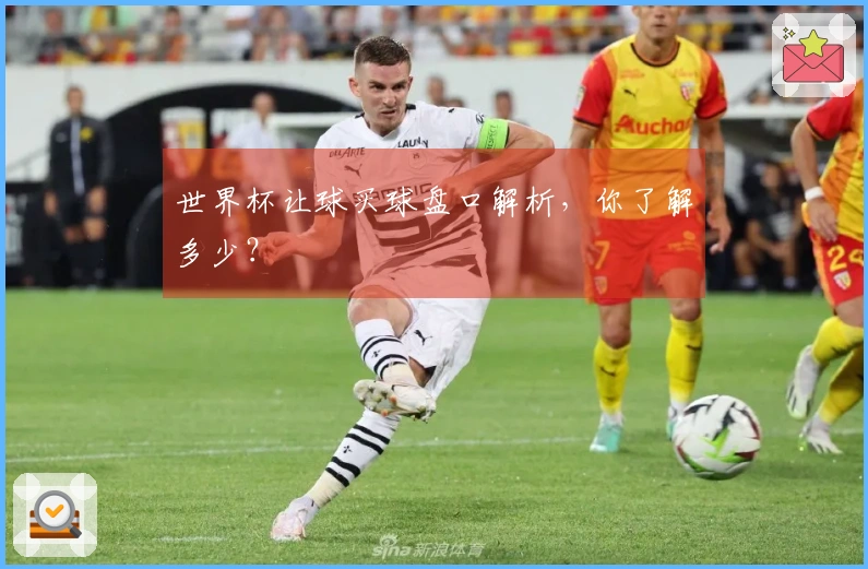 世界杯让球买球盘口解析，你了解多少？